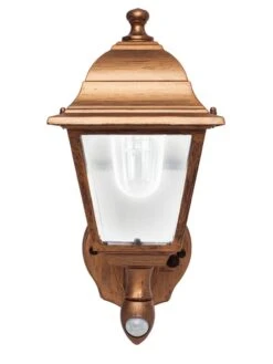 MAXSA® Motion Activated LED Wall Sconce -Backyard Bloomers 3 4 crop 8613541 05V