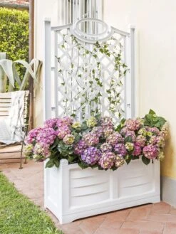 Separate Flower Box With Trellis -Backyard Bloomers 3 4 crop 8613626 13V