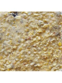 Cherry Sunflower Suet, 11.75 OZ, 12 Pack 9 Cherry Sunflower Suet, 11.75 OZ, 12 Pack -Backyard Bloomers 3 4 crop 8613689 04V