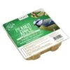 Peanut Apple Suet, 11.75 OZ, 12 Pack 2 Peanut Apple Suet, 11.75 OZ, 12 Pack -Backyard Bloomers 3 4 crop 8613690 01V peanut apple suet 11 oz 12 pack