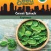 Corvair Spinach Organic Seeds -Backyard Bloomers 3 4 crop 8613868 06842 Spinach Corvair SDSC