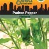 Pepper, Padron Organic Seeds -Backyard Bloomers 3 4 crop 87466 8613547 Pepper Padron SDSC