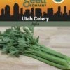 Celery, Utah Organic Seeds 2 Celery, Utah Organic Seeds -Backyard Bloomers 3 4 crop 88854 8613558 Celery Utah SDSC