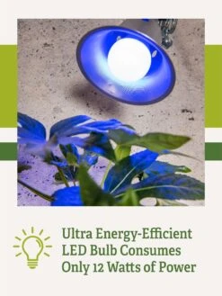 Miracle LED® Grow Light Bulb, Blue -Backyard Bloomers 3 4 crop Miracle Bulb Blue 2