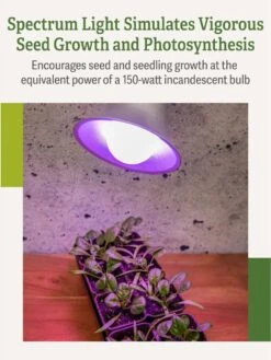 Miracle LED® Grow Light Bulb, Red And Blue 12 Miracle LED® Grow Light Bulb, Red And Blue -Backyard Bloomers 3 4 crop Miracle Bulb RB 3