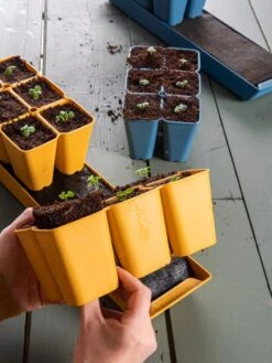 Gardener's Best® XL Seed Starting Kit -Backyard Bloomers 40 135 6192 1