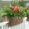 Self-Watering Railing Planter 2 Self-Watering Railing Planter -Backyard Bloomers 40145 040 tif