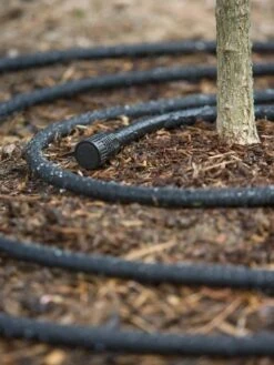 Snip-n-Drip Soaker Hose System -Backyard Bloomers 40205 003 tif