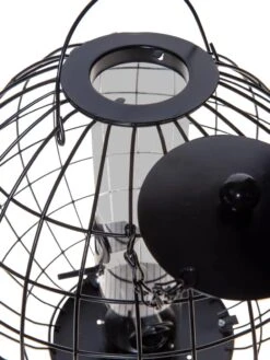 Mixed Seed Globe Cage Feeder -Backyard Bloomers 8586659 6399