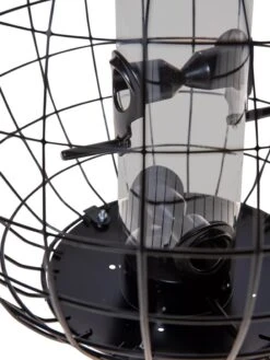 Mixed Seed Globe Cage Feeder -Backyard Bloomers 8586659 6400