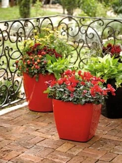 Viva Square Self-Watering Rolling Planter, 14" Diameter -Backyard Bloomers 8586699 982 tif