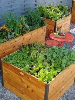 Elevated Raised Bed, 4' X 4' 6 Elevated Raised Bed, 4' X 4' -Backyard Bloomers 8586748 014