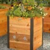 Elevated Raised Bed, 2' X 2' 2 Elevated Raised Bed, 2' X 2' -Backyard Bloomers 8586749 854 tif
