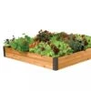 4' Raised Beds 2 4' Raised Beds -Backyard Bloomers 8586765 001E