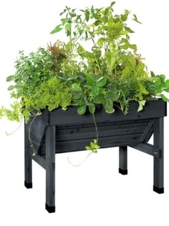 Compact VegTrug® Patio Garden -Backyard Bloomers 8586919 001 tif