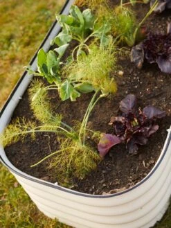 Birdies™ Modular Metal Raised Bed -Backyard Bloomers 8586930 6019 tif