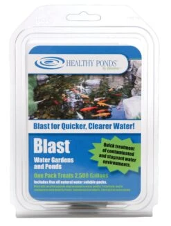 Blast, 2,500 Gallon, 5 Packets -Backyard Bloomers 8586931 001v