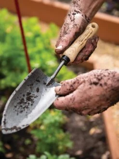 Gardener's Lifetime Trowel 13 Gardener's Lifetime Trowel -Backyard Bloomers 8586972 3242 tif
