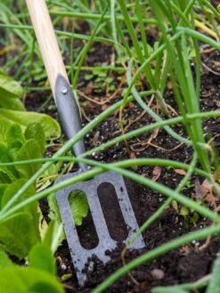 Gardener's Lifetime Spork 10 Gardener's Lifetime Spork -Backyard Bloomers 8586973 2383 tif
