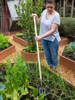 Gardener's Lifetime Spork 11 Gardener's Lifetime Spork -Backyard Bloomers 8586973 2405 tif