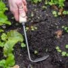 Gardener's Lifetime Cape Cod Weeder, Right-Handed -Backyard Bloomers 8586974 2361 tif