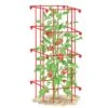 Tomato Cage, Single -Backyard Bloomers 8587039 TomatoCage tif
