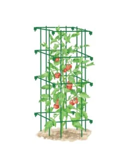 Tomato Cage, Single 9 Tomato Cage, Single -Backyard Bloomers 8587039 TomatoCage GRN tif