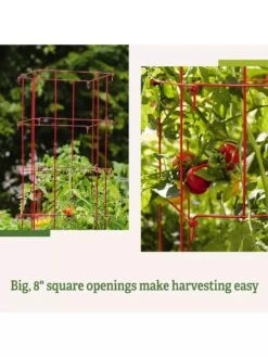Tomato Cages, Set Of 4 -Backyard Bloomers 8587040 2