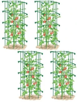 Tomato Cages, Set Of 4 -Backyard Bloomers 8587040 GR 001E tif