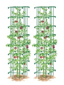 Tomato Towers, Set Of 2 -Backyard Bloomers 8587041 0006 GRN tif