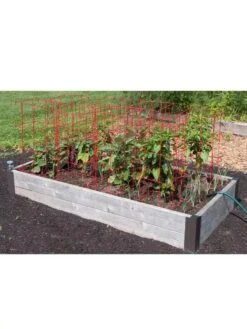 Pepper And Eggplant Cages, Set Of 3 -Backyard Bloomers 8587048 6008 3 4