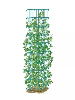 Bean Tower -Backyard Bloomers 8587060 BeanTower BLUE