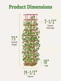 Bean Tower -Backyard Bloomers 8587060 dimensions