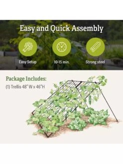 Large Cucumber Trellis -Backyard Bloomers 8587082 product details