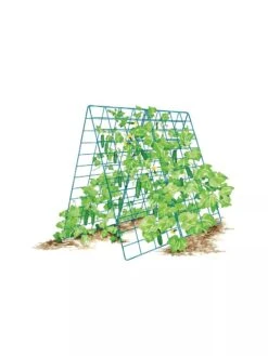 Deluxe Cucumber Trellis 17 Deluxe Cucumber Trellis -Backyard Bloomers 8587083 001 BLUE Cukes two sided deluxe cucumber trellis support storm blue 3 4