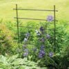 Jardin Ladder Trellis 1 Jardin Ladder Trellis -Backyard Bloomers 8587107 1651 tif