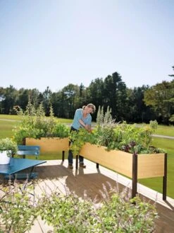 Elevated Planter Box, 2' X 8' 17 Elevated Planter Box, 2' X 8' -Backyard Bloomers 8587631 104 tif