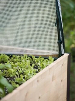 Planter Box, Frame And 2 Covers Kit, 2' X 4' 16 Planter Box, Frame And 2 Covers Kit, 2' X 4' -Backyard Bloomers 8587631 265 tif 3