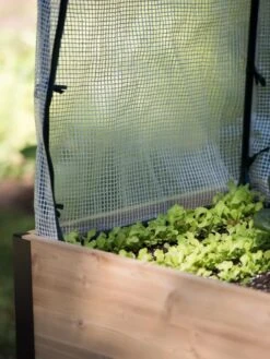 Protection Frame & Covers, 2' X 4' -Backyard Bloomers 8587631 268 tif 1