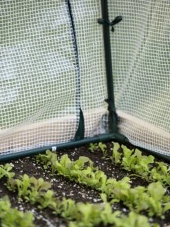 Protection Frame & Covers, 2' X 4' -Backyard Bloomers 8587631 271 tif 1