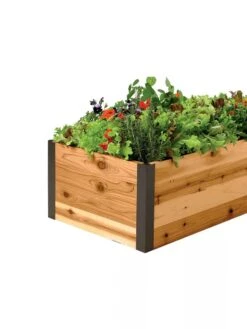 Deep Root Raised Beds, 14" Deep 2' Wide 9 Deep Root Raised Beds, 14" Deep 2' Wide -Backyard Bloomers 8587798 001E 1