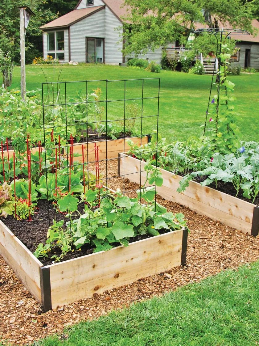 Deep Root Raised Beds, 14" Deep 4' Wide 3 Deep Root Raised Beds, 14" Deep 4' Wide