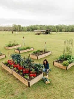 Deep Root Raised Beds, 14" Deep 4' Wide 12 Deep Root Raised Beds, 14" Deep 4' Wide -Backyard Bloomers 8587813 505 tif