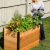 Elevated Raised Bed, 2' X 4' -Backyard Bloomers 8587822 675 tif