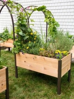 2’ X 4’ Arch Trellis For Planter Boxes -Backyard Bloomers 8587823 0490