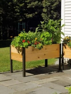 Elevated Planter Box, 2' X 4' -Backyard Bloomers 8587823 704 tif