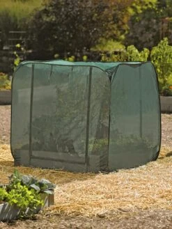 Pest Control Pop-Ups -Backyard Bloomers 8587859 026 tif