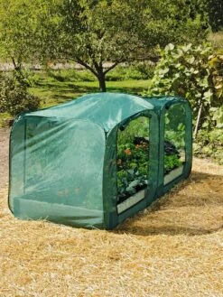 Pest Control Pop-Ups -Backyard Bloomers 8587860 096 tif
