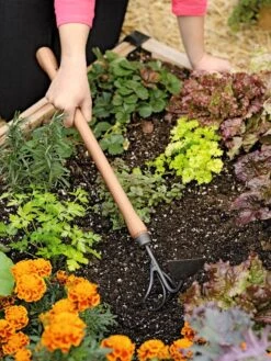Gardener's Lifetime Raised Bed Cultivator -Backyard Bloomers 8587960 0687 tif