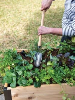 Gardener's Lifetime Raised Bed Trowel -Backyard Bloomers 8588014 4084 tif